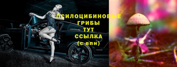 mdpv Переславль-Залесский